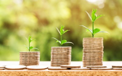 From seed financing to listing and growth: An ever-evolving IR program