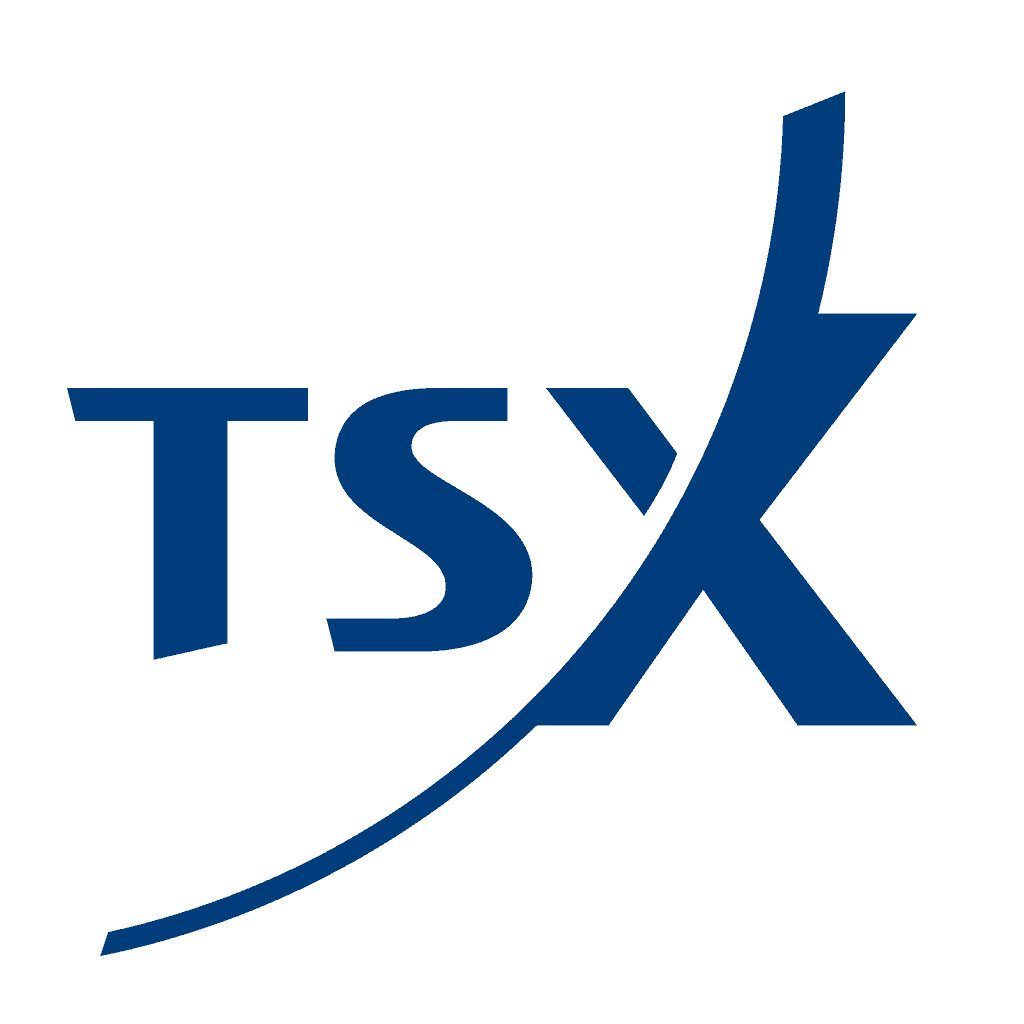 Toronto Stock Exchange (TSX) Logo