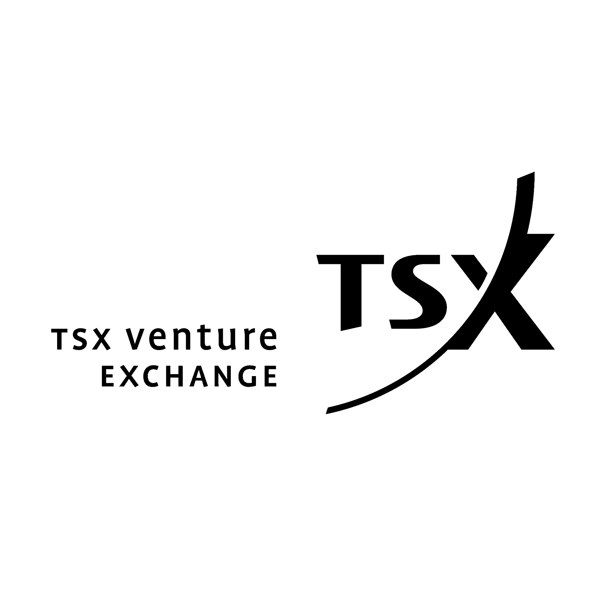 TSX Venture Exchange Logo